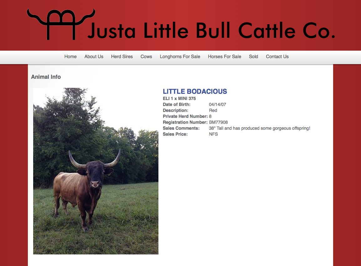 Justa Little Bull